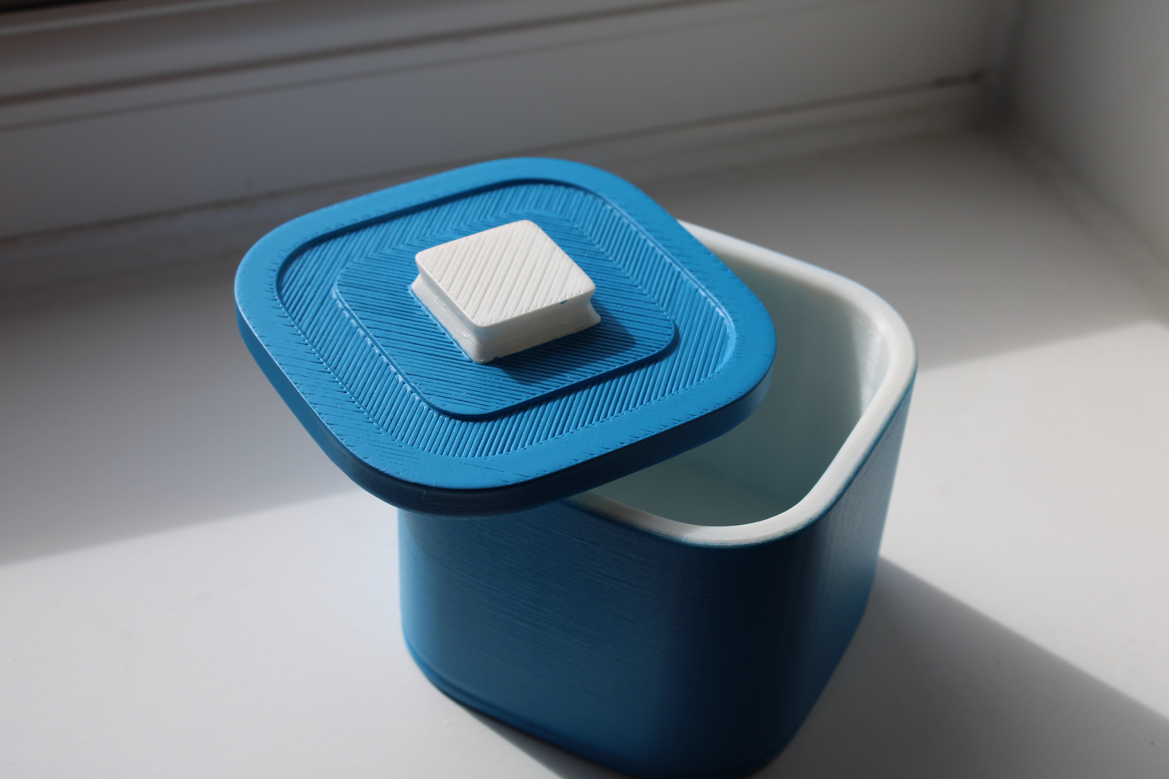 Small Versatile Storage Container Blue and White